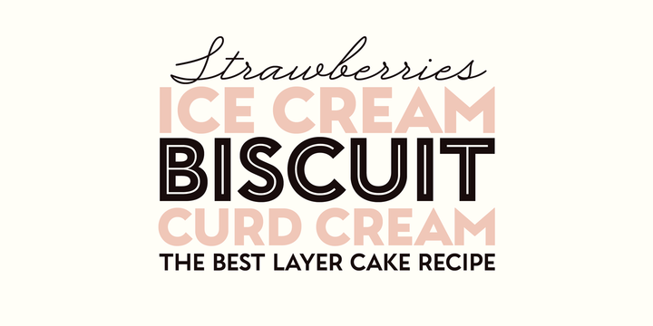 Garnet Font Family插图1