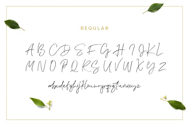 二重奏连体英文＆衬线字体 Lemonade Fonts Duo插图(8)