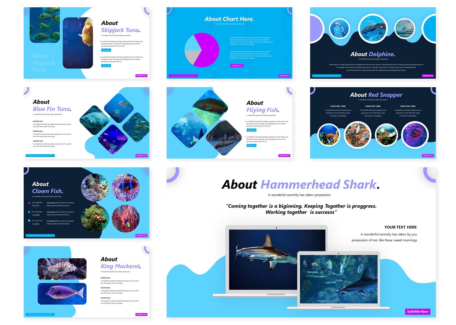 海洋/海底世界主题PPT幻灯片模板 The Ocean | Powerpoint Template插图(2)