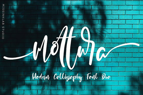 Mottura Font Duo插图