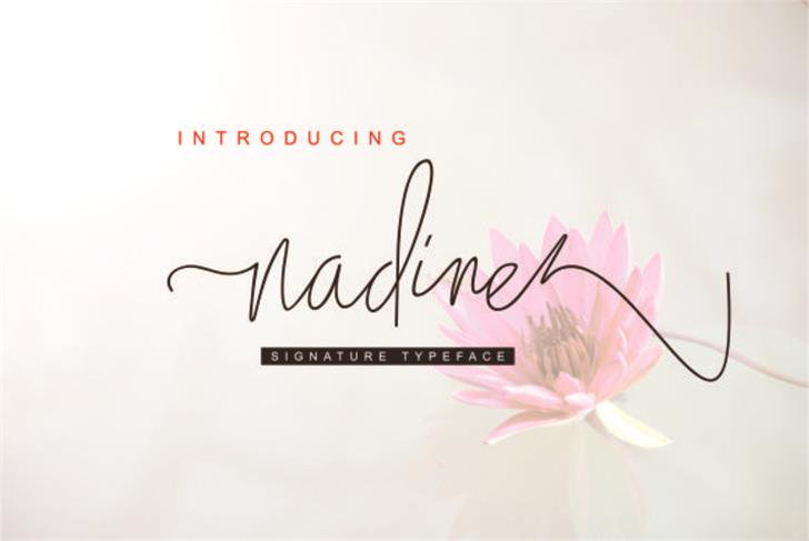 Nadine font插图 Nadine font插图