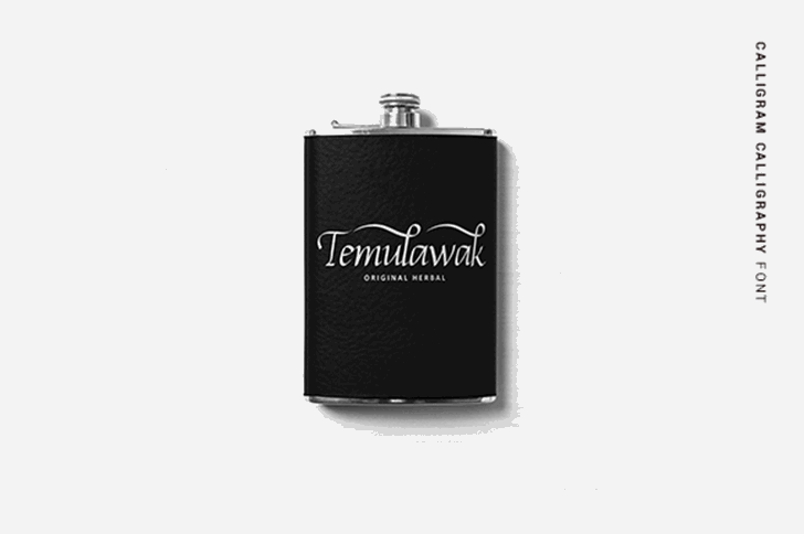 Calligram Personal font插图8 Calligram Personal font插图8