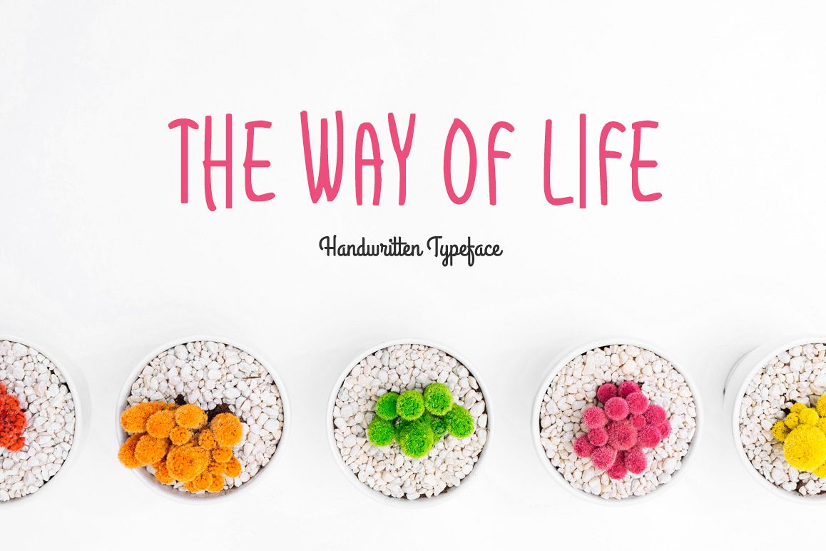 The Way Of LifeRegular Font插图
