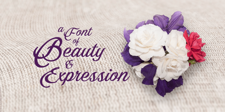 Bellino Font Family插图2