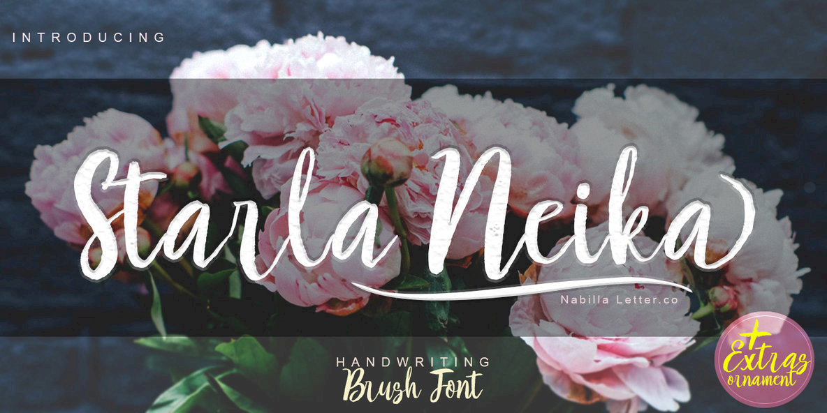 Starla Neika Font Family插图