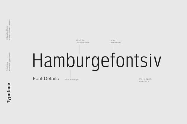 极简主义现代设计风格英文排版无衬线字体。 Ardent Sans – Modern Font Family插图(2)