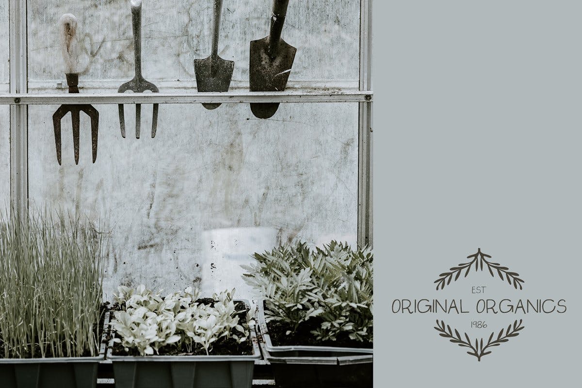 创意设计正楷书法英文无衬线字体 Saturday Market Font插图(5)