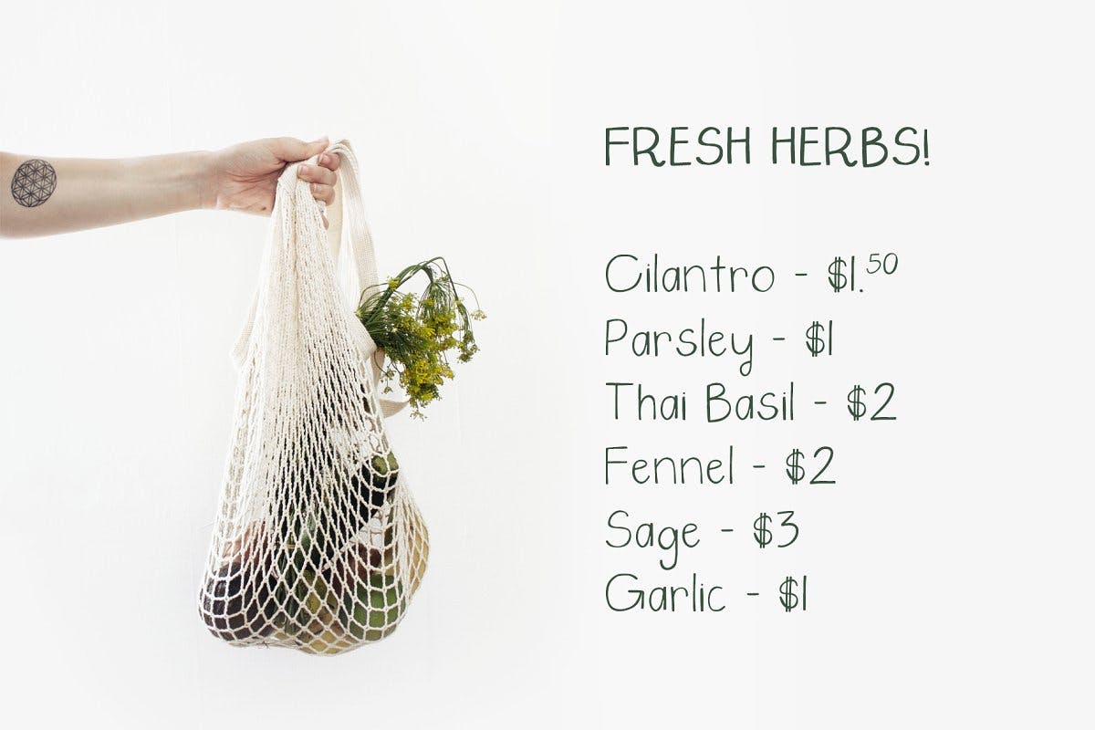 创意设计正楷书法英文无衬线字体 Saturday Market Font插图(1)