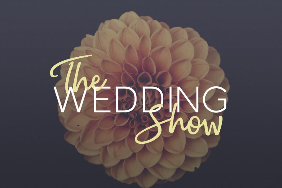 流畅笔迹无衬线手写英文字体 Money Penny – Script & Sans插图(6)